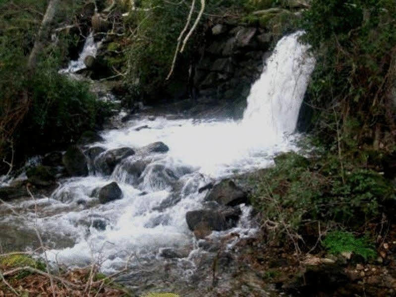 Quinta Do Lagar Da Moira Hotell Vila Franca da Serra Eksteriør bilde